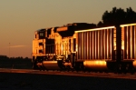 Golden BNSF ACe.